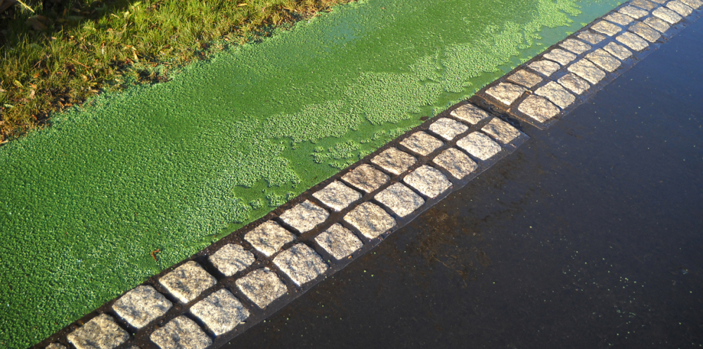 quicksett cycle lane delineation